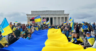 McCain Institute - Global Democracy