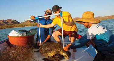 Earth BioGenome Project Fund