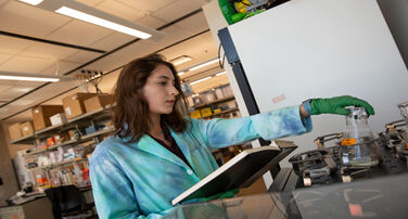 SBHSE Scholarships/Fellowships