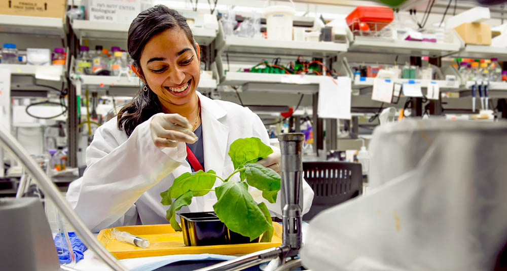 Phoenix Bioscience Core | ASU Foundation