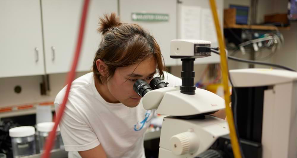 Center for Negative Carbon Emissions