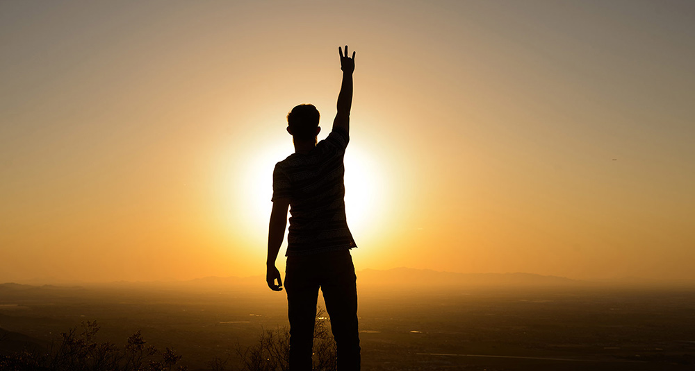 Information Systems Quasi Endowment