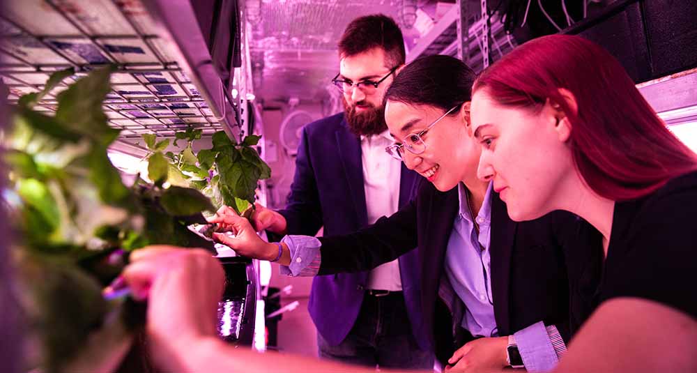 ASU Poly's Vertical Farm