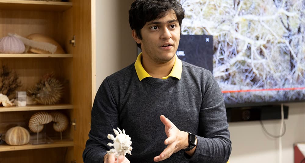 Tomalee Doan LibAid for Student Success